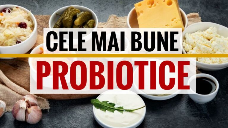 Care sunt cele mai bune probiotice?