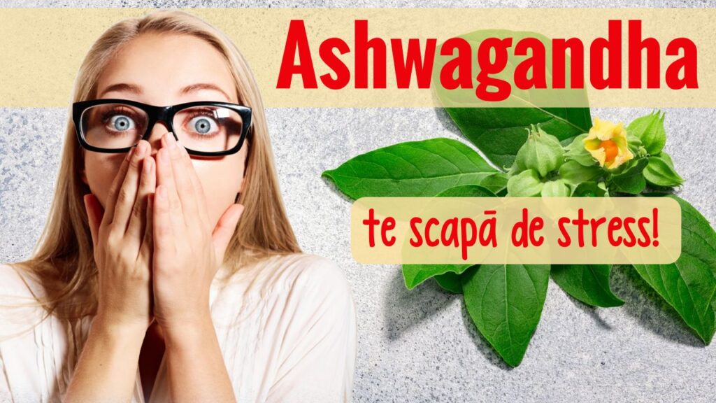 Ashwagandha, planta care te scapă de stress